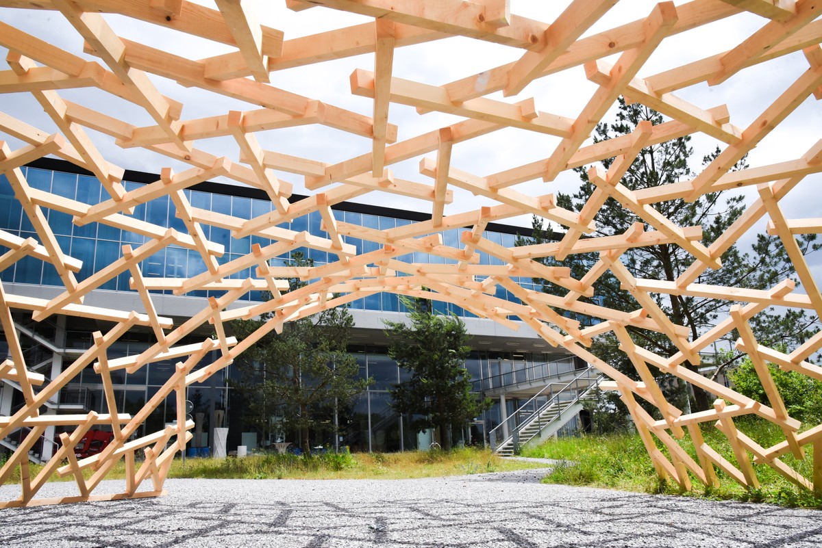 Of Networks and Nodes